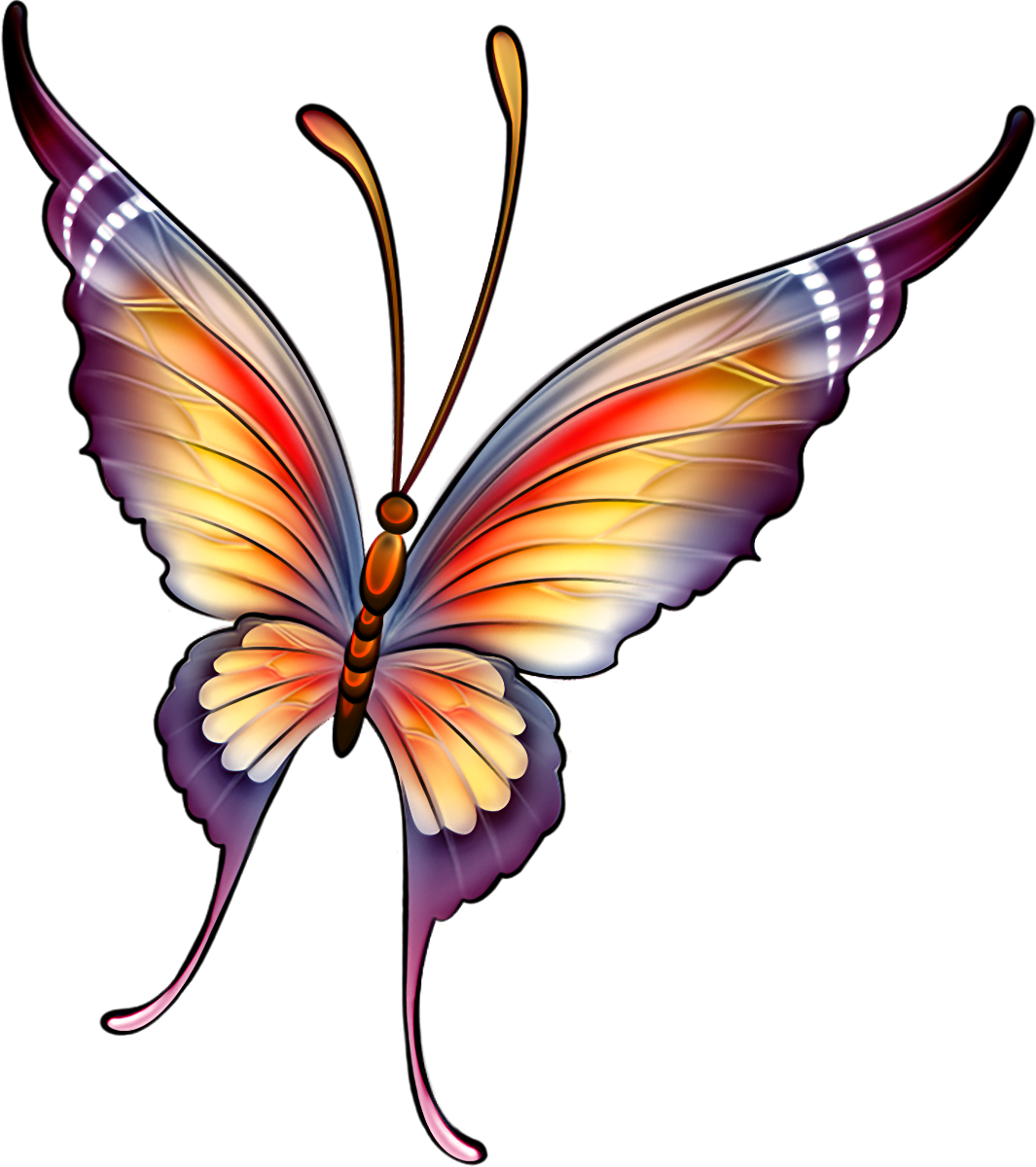 Різнокольоровий метелик з великими вусами
